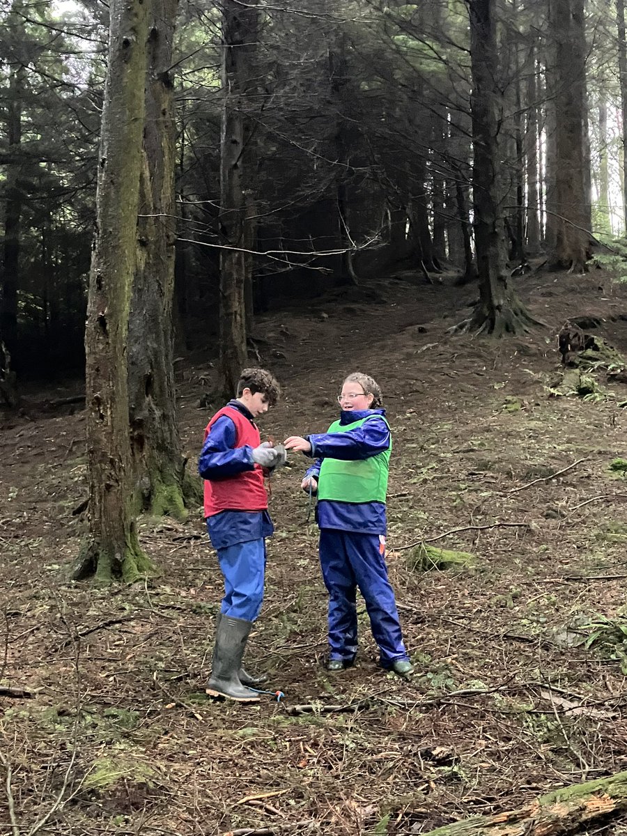 Arran Outdoor Education Centre (@arranoutdoor) on Twitter photo Primary 7โs, second week from <a href="/AnnickPS/">Annick PS & EYC</a> taking part in the Survival Game in the Dye Mill woods and learning how to survive as a wild animal. <a href="/North_Ayrshire/">North Ayrshire Council</a> <a href="/NAC_Provost/">North Ayrshire Provost</a> <a href="/ShaunMacaulay/">Cllr Shaun Macaulay</a> <a href="/ArranCoast/">Arran Coast</a> <a href="/NAActiveSchools/">North Ayrshire Active Schools</a> <a href="/NAC_Education/">North Ayrshire Education</a> <a href="/NAC_STEM/">NAC_STEM</a> Primary 7โs, second week from <a href="/AnnickPS/">Annick PS & EYC</a> taking part in the Survival Game in the Dye Mill woods and learning how to survive as a wild animal. <a href="/North_Ayrshire/">North Ayrshire Council</a> <a href="/NAC_Provost/">North Ayrshire Provost</a> <a href="/ShaunMacaulay/">Cllr Shaun Macaulay</a> <a href="/ArranCoast/">Arran Coast</a> <a href="/NAActiveSchools/">North Ayrshire Active Schools</a> <a href="/NAC_Education/">North Ayrshire Education</a> <a href="/NAC_STEM/">NAC_STEM</a>