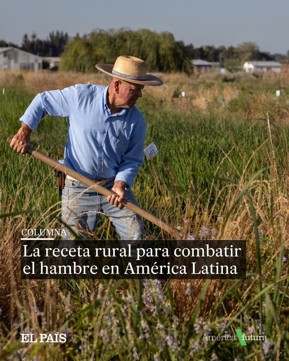 AmericaFutura's tweet photo. 🌽Columna de @IFADespanol | "En la medida en que estén preparados para hacer frente a los efectos del cambio climático, los agricultores producirán más alimentos nutritivos para sus comunidades y mejorarán su nivel de ingresos y el de sus comunidades"
🔗https://t.co/wzSCALPWYy https://t.co/teJGwtVhZs