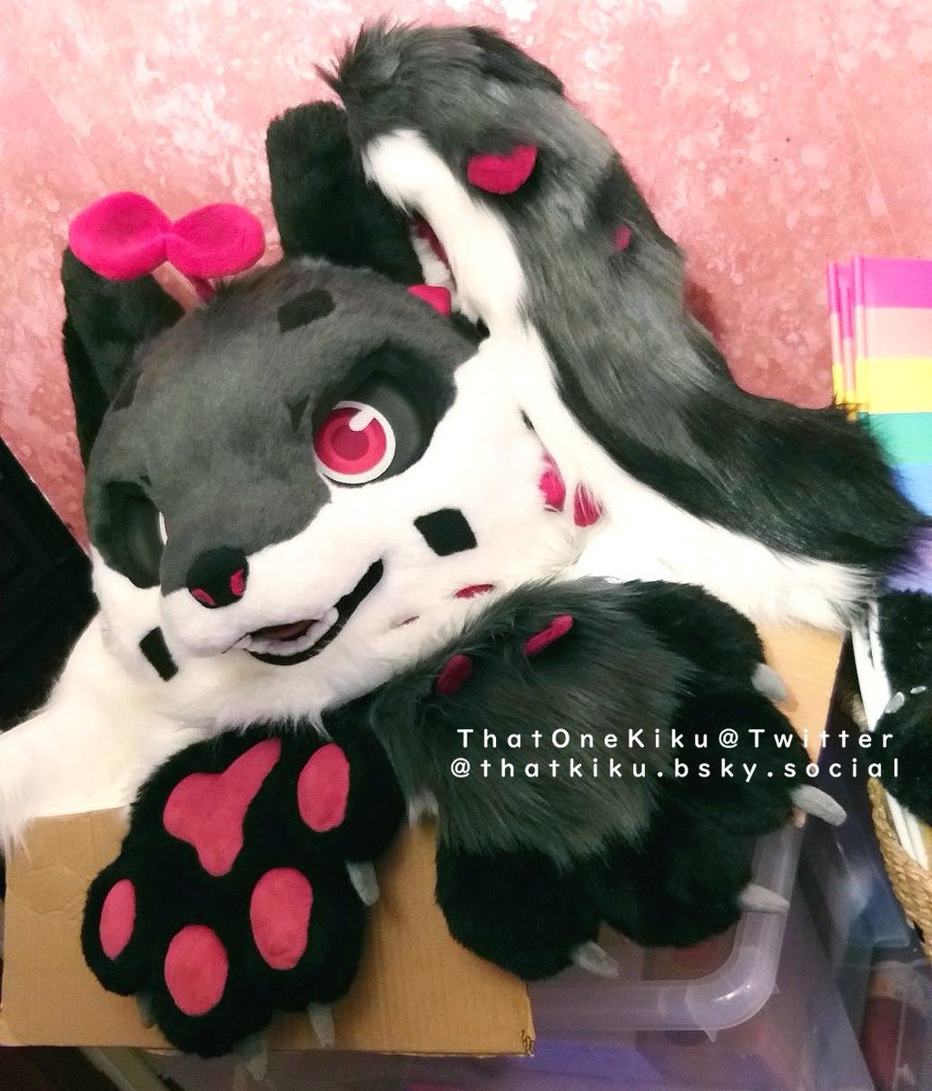 ThatKiku ๐ช๐ช tweet media