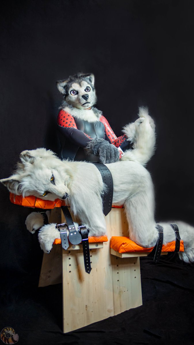 NaughtyBerk's tweet photo. What is there to see?
Happy #MurrsuitMonday
🐺 #NaughtyBerk
🐺 @SkyHuskyAD ❤️
⛓📷 @TheDemo61667392
🏙 Dresden 🇩🇪
#Bondage #Murrsuit #BDSM #Cuffs #Leash #Collar #wetsuit #Strafbock #neoprene #Wolf #Catsuit #Leather
Follow my #kinky channel (TG):
https://t.co/yHPq6iPlHw https://t.co/0L9gvYYhnT
