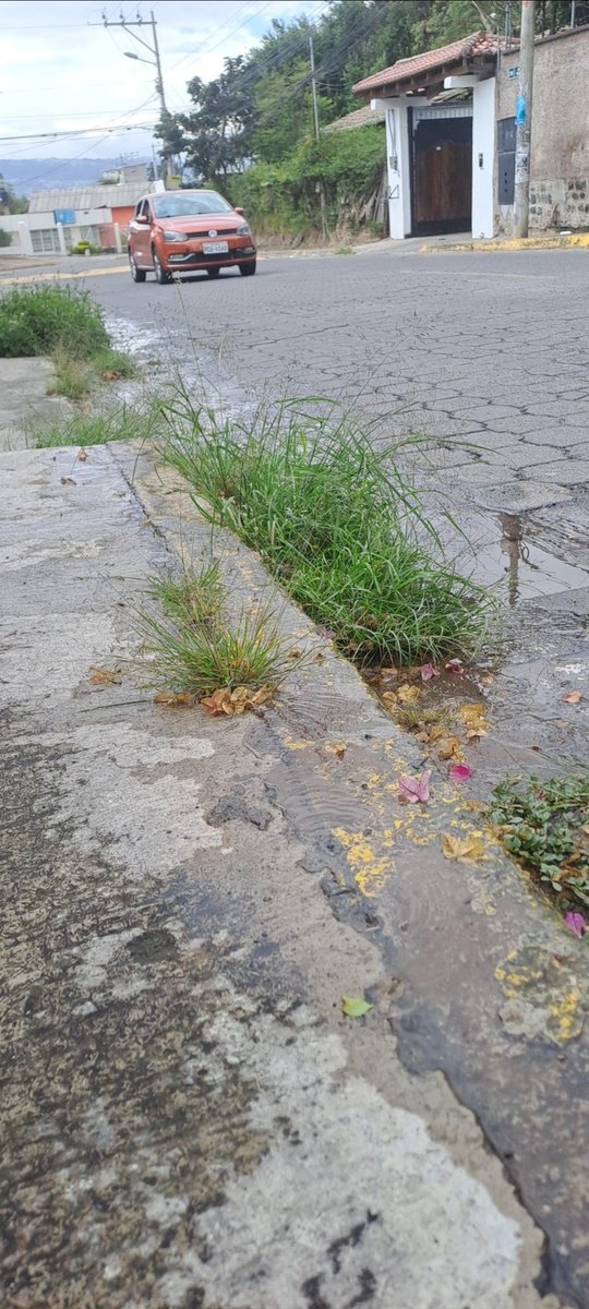 adri_mel23's tweet photo. @TumbacoI  fuga ya de varias semanas desperdicio de agua en La Morita Calle José Vinueza https://t.co/ur3kcowsnJ