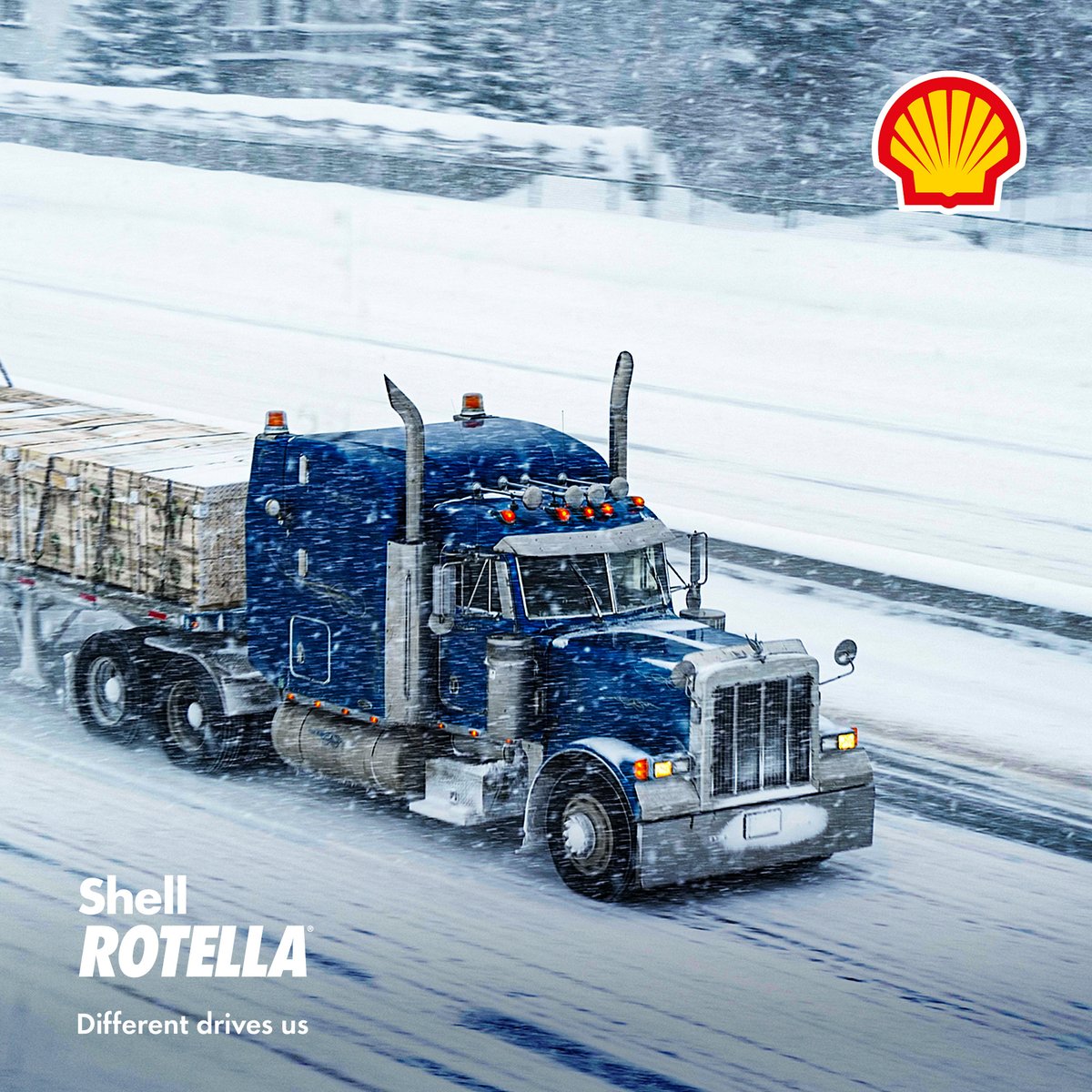 ShellRotella's tweet image. Brace for the chill! ❄️ Cold weather can be tough on your engine—learn how to keep it in peak operating condition with #ShellRotella. Stay reliable all winter with our essential tips here: go.shell.com/3Czk2O3
