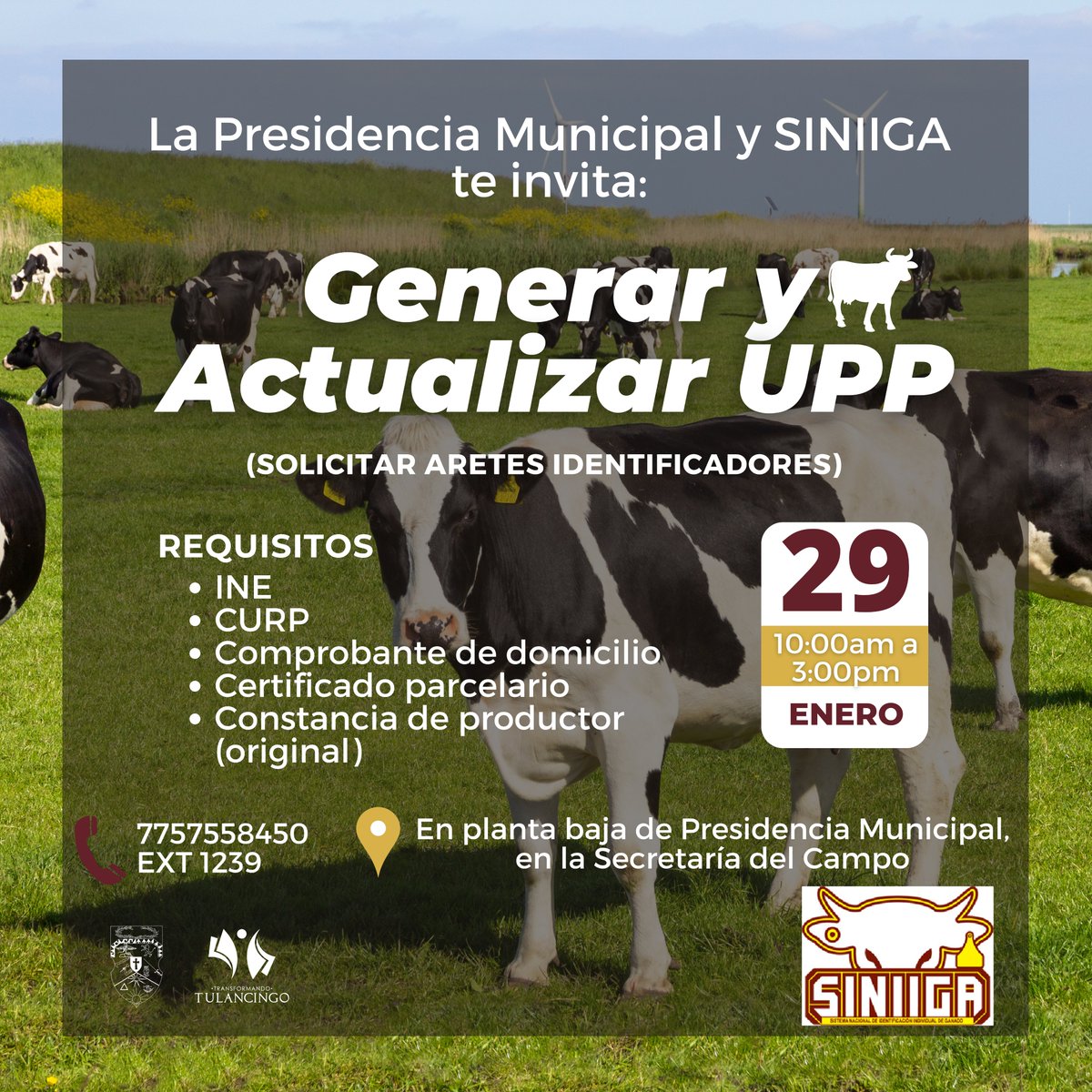 Municipio Tulancingo tweet media