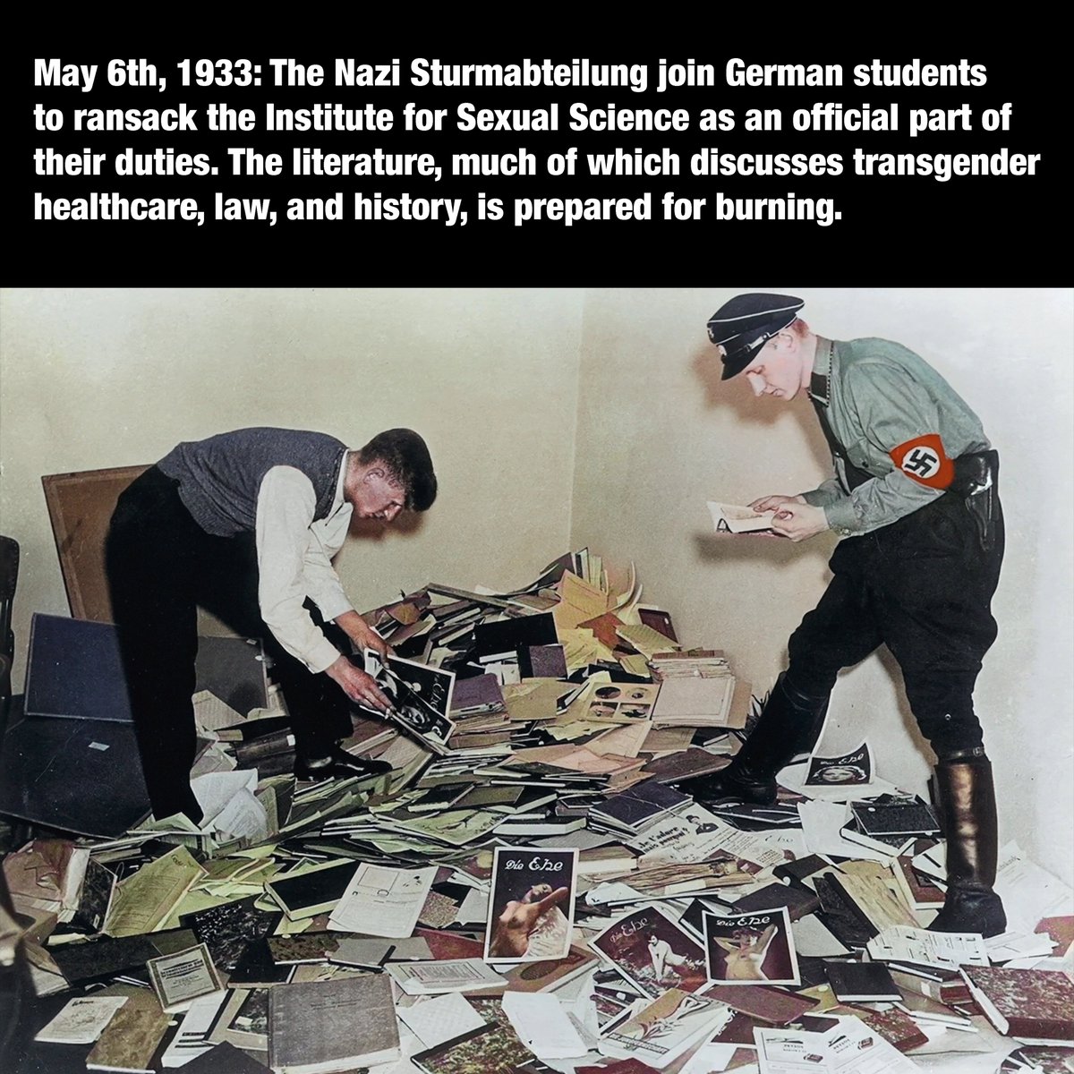 Eli Erlick tweet media