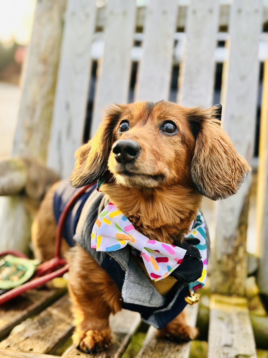 StunGeezy tweet media