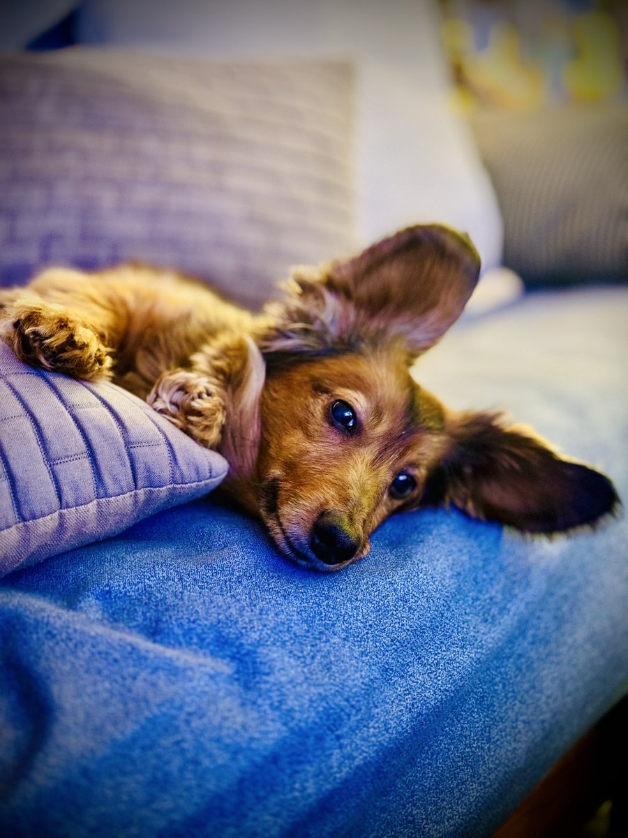 StunGeezy tweet media