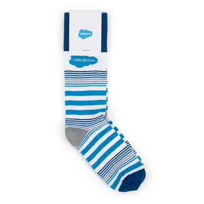 SissonSteph's tweet image. Who wants @salesforce socks!? Come for the #Agentforce Hands on Training but stay for the swag! #NHSFUG