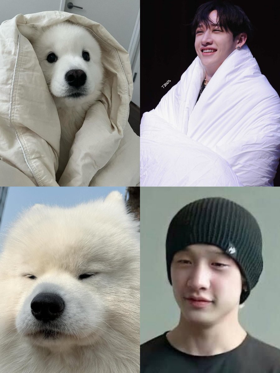 Cuteness overload 😭😭😭😭

#BangChan