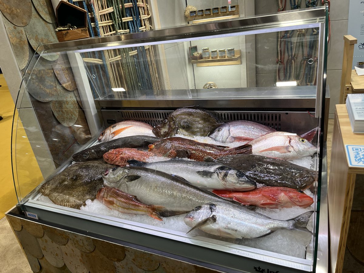AntonioRi86's tweet photo. Por favor, ¡qué maravilla Madrid Fusión! 
Pescado, carne, vino, sidra y mi amiga Qiqi de Cordón Bleu. #MadridFusión2025 https://t.co/sneglVkAwt