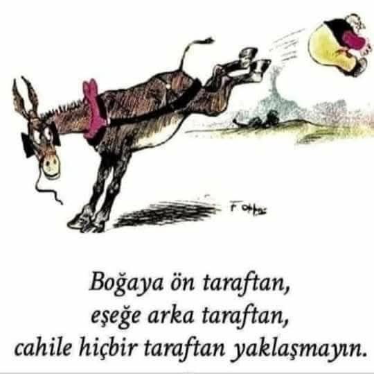 Murat ERDEMİR (@erdemiroglu) on Twitter photo 