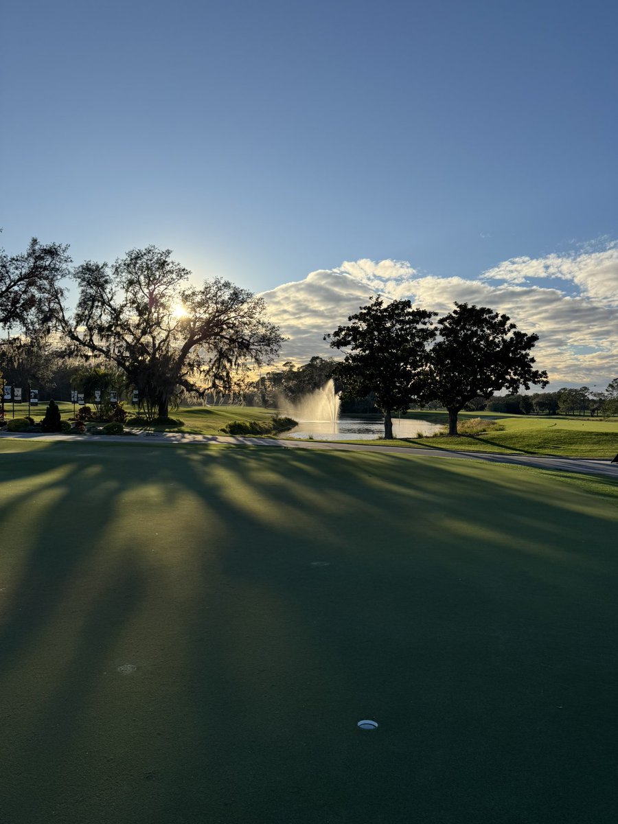 Disney Golf
