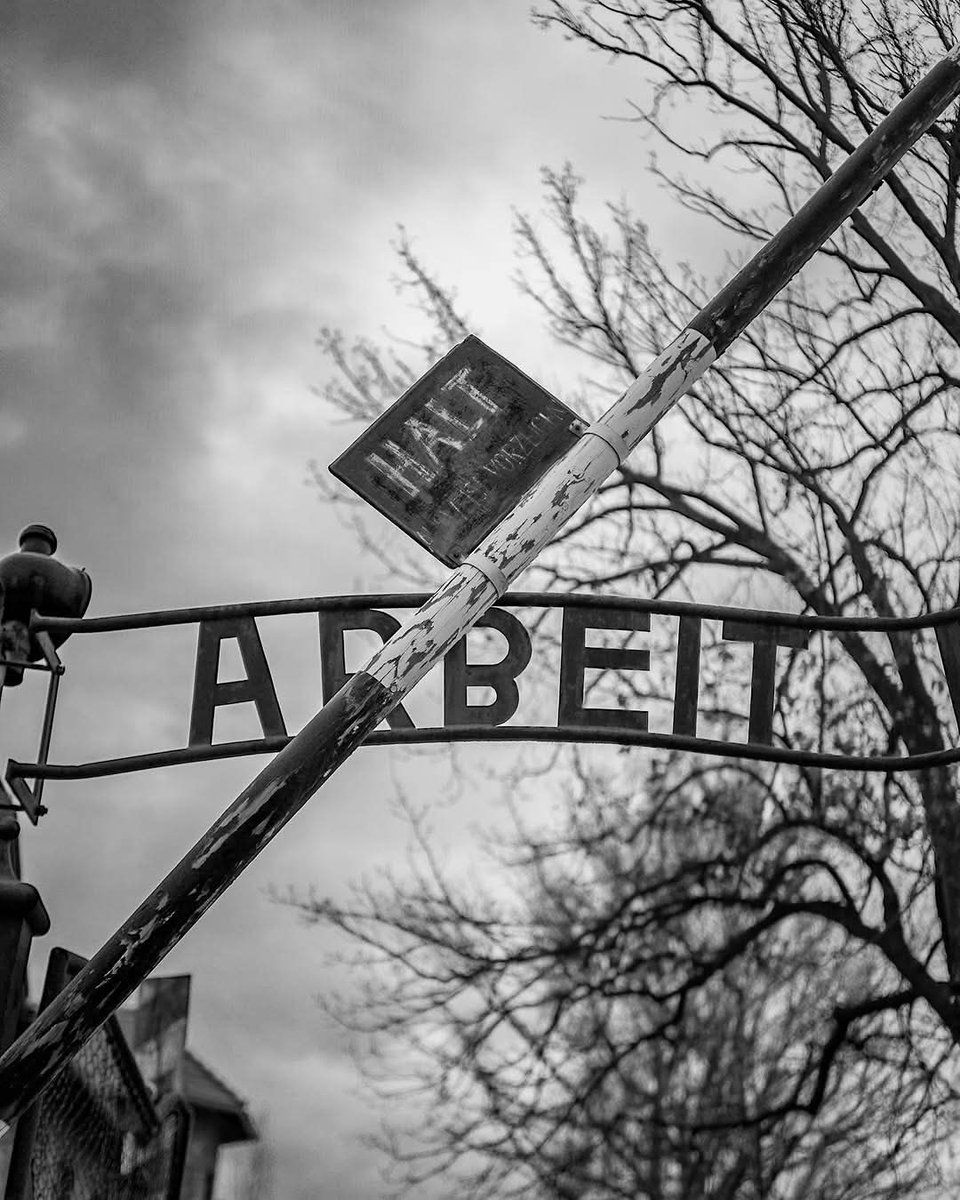 batofthedungeon's tweet image. Ocalały z Auschwitz Leon Weintraub apeluje do młodzieży.

&quot;Bądźcie uczuleni na wszelkie przejawy nietolerancji, niechęci do koloru skóry, wyznania czy orientacji seksualnej. Bądźcie czujni. My Ocaleni wiemy, że konsekwencją jest prześladowanie&quot;