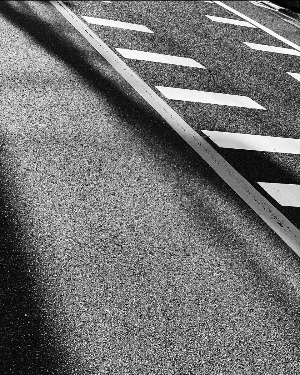 밥좀주세요 🐰 GIMME RICE 🍀 tweet media