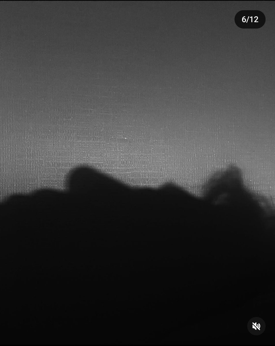 밥좀주세요 🐰 GIMME RICE 🍀 tweet media