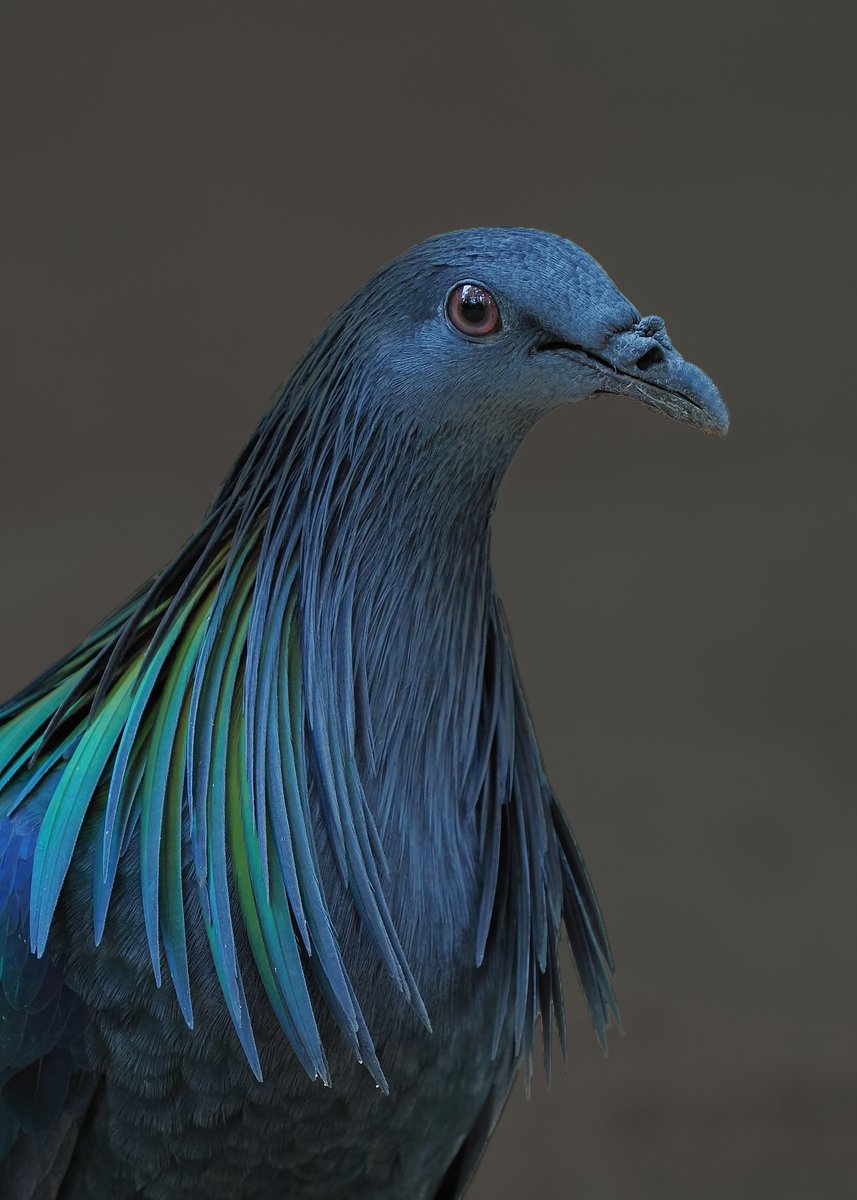 Michael Southcott tweet media