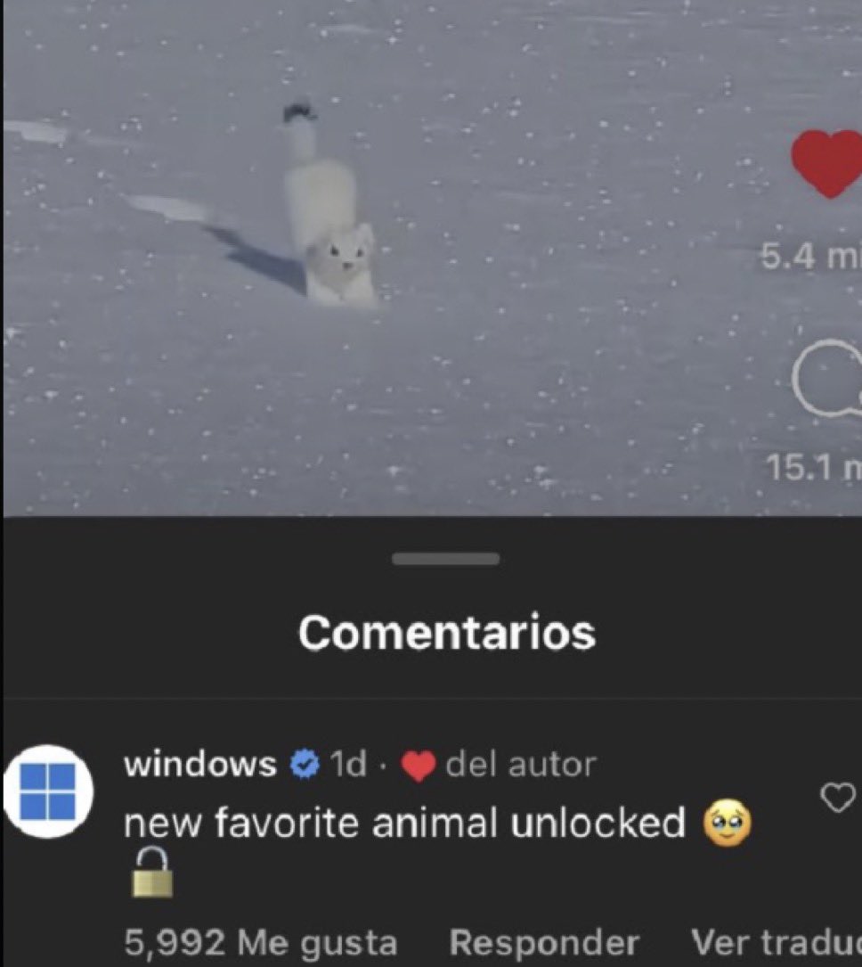 My video hopping in the snow went viral! ✨
I’m also the favorite animal as you can see! 👀 

Do you want to hop higher together?

#ERMINE #Cryptogem