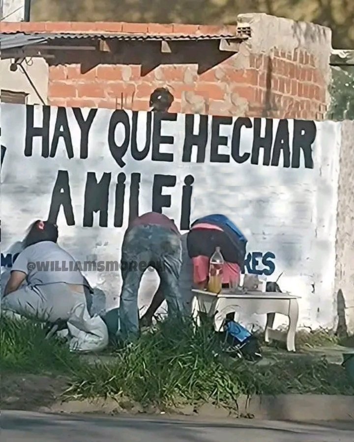 Estos simios no sirven ni para escribir.