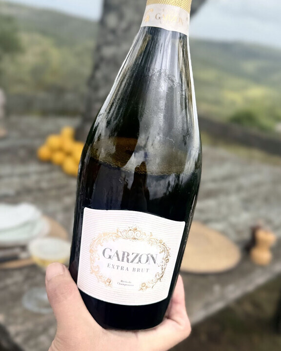 Satopia Travel tweet media