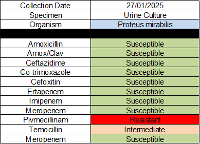 Luke Turner 🦠 tweet media