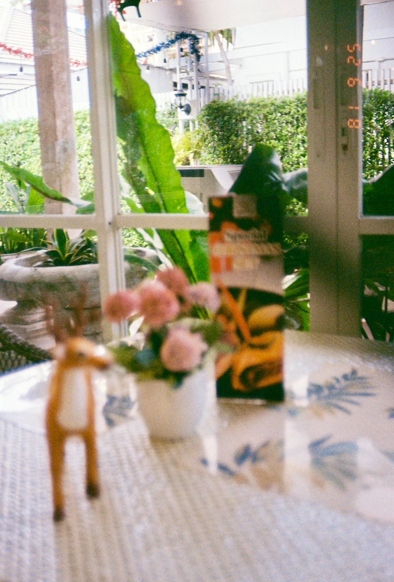 somnoikim's tweet photo. My fault ๐ฐ๐
๐ธ๐๏ธ
๐ธ mamiya m time memory
๐ Kodak proimage 100
#mamiya #mamiyam
#mamiyamtimememory
#kodak #kodakfilm
#proimage
#proimage100
#somnoisnap
#filmdump
#film
#filmphotography
#35mm #35mmfilm
#streetphotography
#streetfilmphotography
#throwback https://t.co/XUTgz73udh