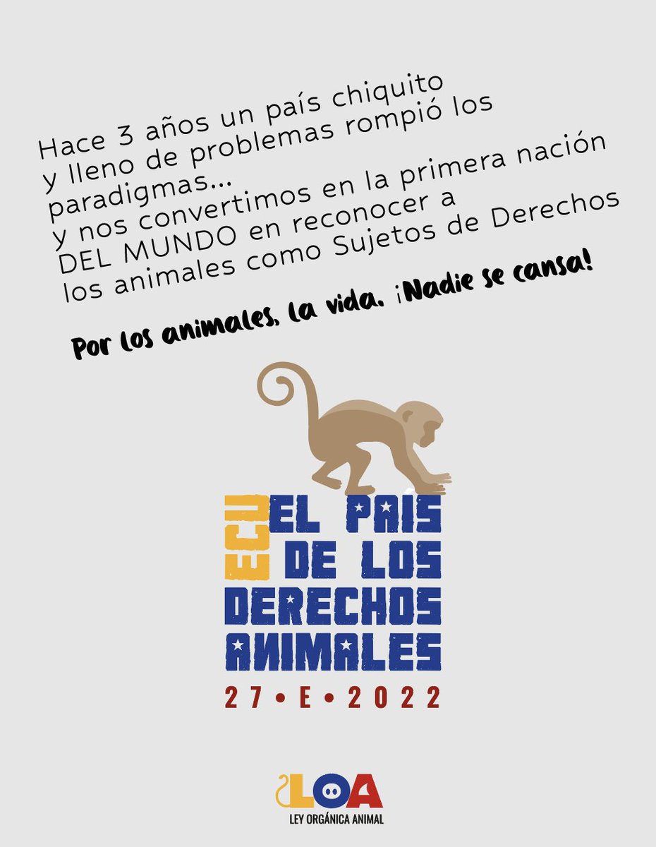 LoaEcuador's tweet photo. Hace 3 años un país chiquito y lleno de problemas rompió los paradigmas... y nos convertimos en la 1era nación DEL MUNDO en reconocer a los animales como Sujetos de Derechos

Esta lucha no va a parar porque si algo sabemos , igual que los animales, es resistir.

Nadie se cansa!! https://t.co/31gyIQ7lFa
