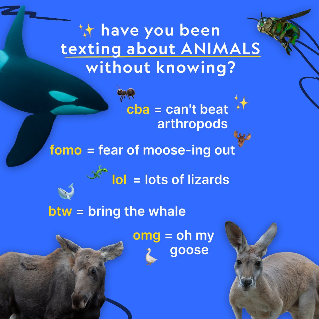 NatGeoAnimals's tweet photo. Never not bragging about our apiary tbh
Stream #SecretsOfTheWhales, #NatGeoQueens, #YukonVet, and #SecretsOfTheZoo on @DisneyPlus and @hulu —you're welcome 😉 https://t.co/o5xYghb5CS