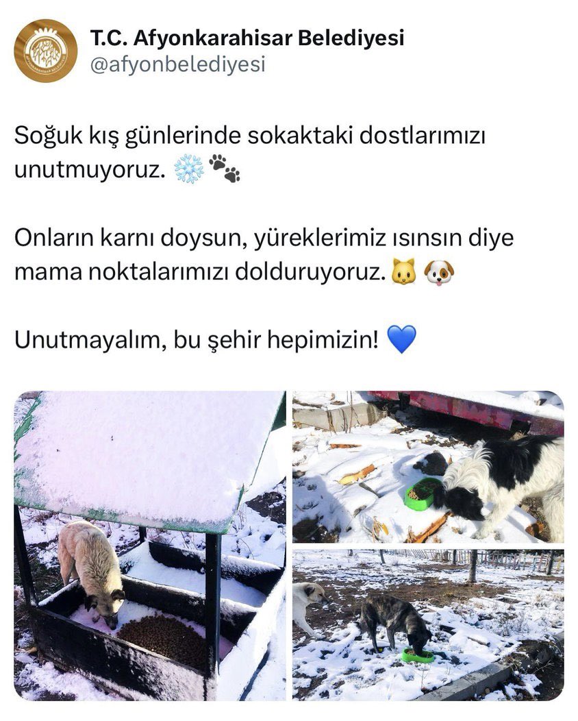Hibrahimsevim's tweet photo. Afyonkarahisar Belediyesi’nin vizyon projelerinden biri olan;
‘Mama Noktalarını Doldurma’ çalışması kapsamında,bugüne kadar Belediye bütçesinden harcanan tutar nedir?
Açıklayabilir misiniz?

Kendi atölyelerinizde heykel ürettiğinizi iddia ediyorsunuz,
MAMA LOBİLERİne Afyonkarahisar’lının hakkını yedirmemek adına,noktaları doldurulan mamaları da Belediye bünyesinde paketliyoruz derseniz bir nebze rahatlayacağız..

@afyonbelediyesi 

@burcukoksal03