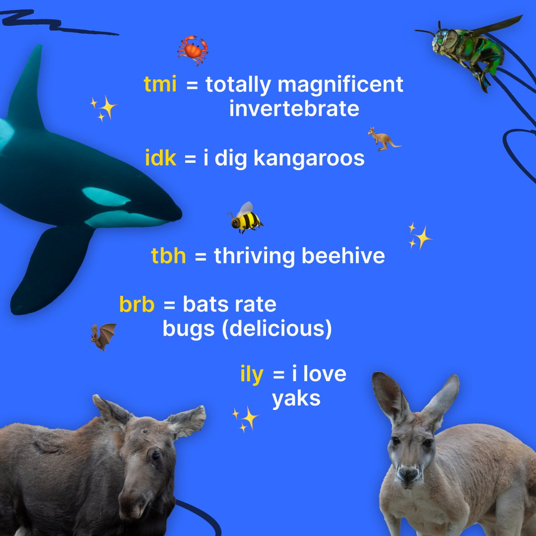 NatGeoAnimals's tweet photo. Never not bragging about our apiary tbh
Stream #SecretsOfTheWhales, #NatGeoQueens, #YukonVet, and #SecretsOfTheZoo on @DisneyPlus and @hulu —you're welcome 😉 https://t.co/o5xYghb5CS