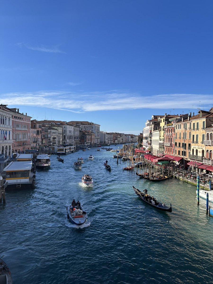 no one touches grass in venice smh