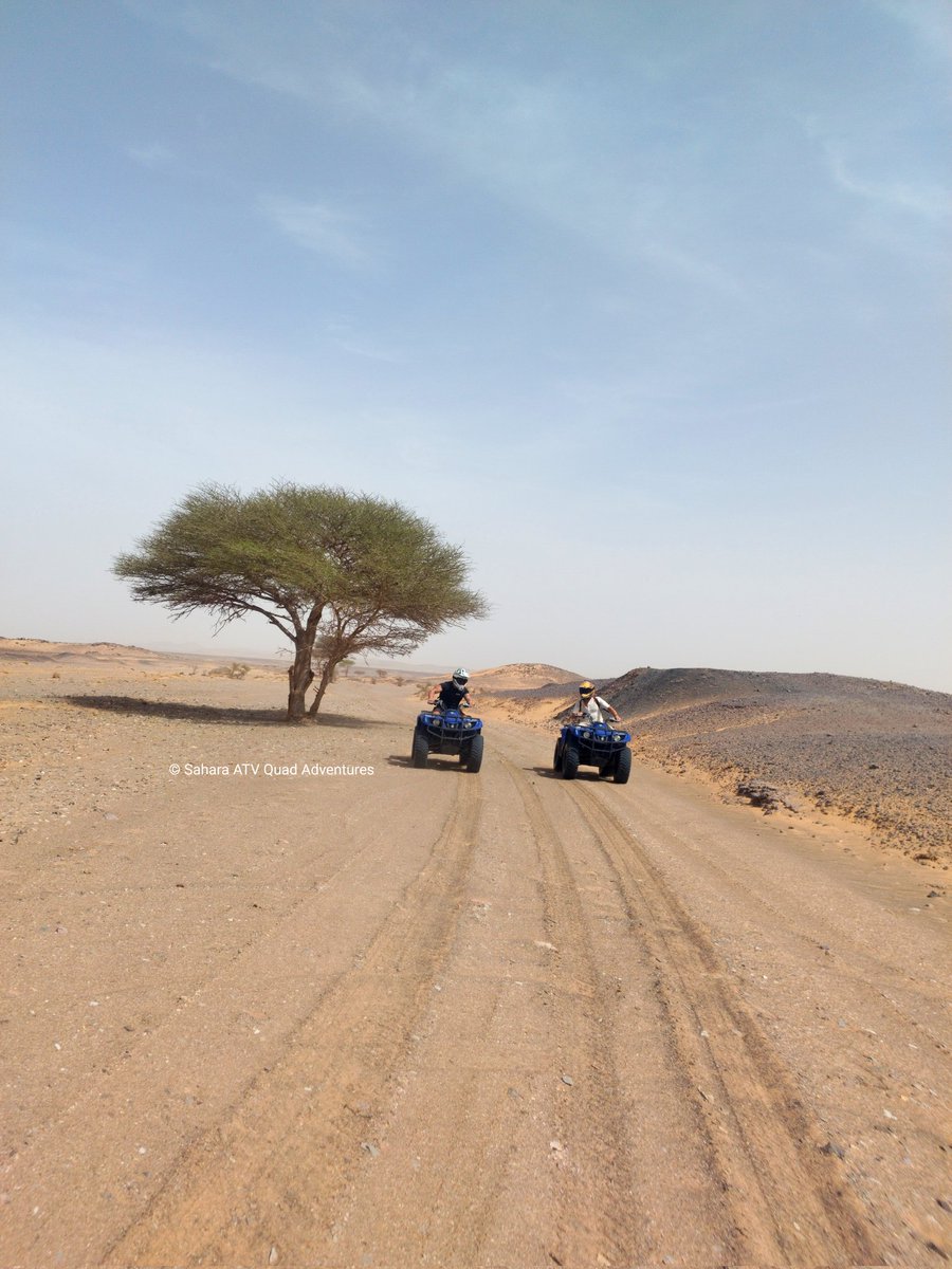 SaharaAtvQuadAd's tweet photo. A memorable ATV journey through dreamlike landscapes. Ride in the places you've always imagined and turn your adventure into a reality!

📍 Merzouga desert
📸 @SaharaAtvQuadAd

#sahara_atv_quad_adventures #saharaatvquadadventures  #sahara #saharadesert #saharatv #merzougaquad https://t.co/C9VJtxq8Xc