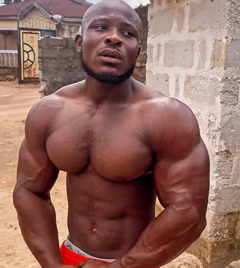 Splendourmothy tweet media