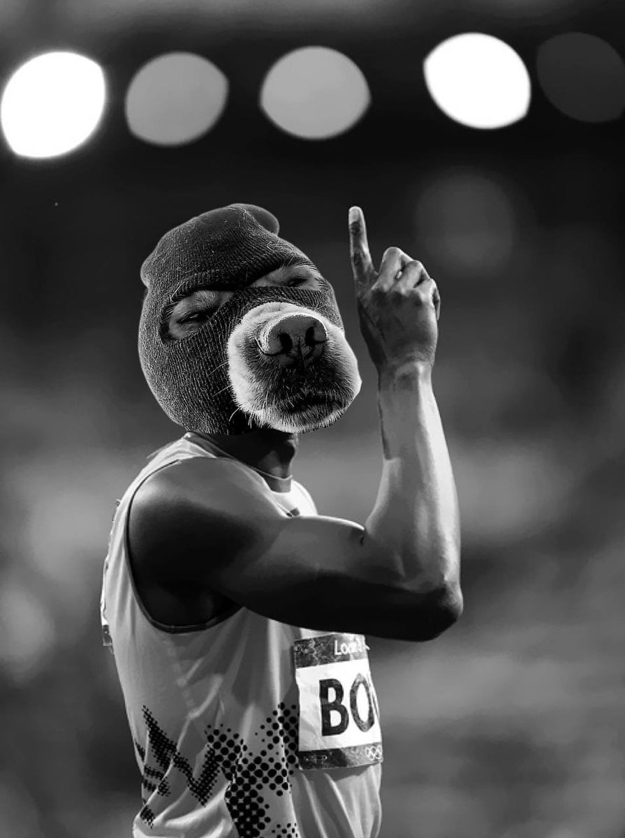 Ski Mask Dog tweet media