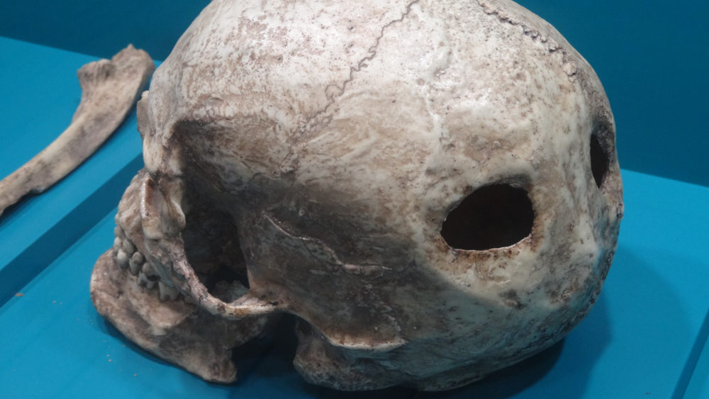 Ireneu Castillo tweet media