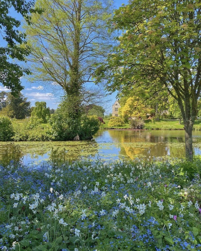 ᅠ ᅠ (@greendreaams) on Twitter photo 