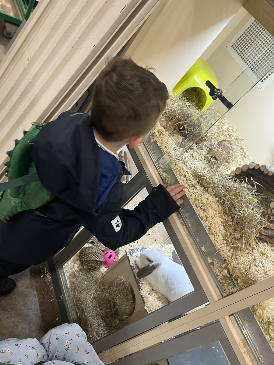 DeePointWillow tweet media