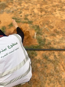 الصورة
