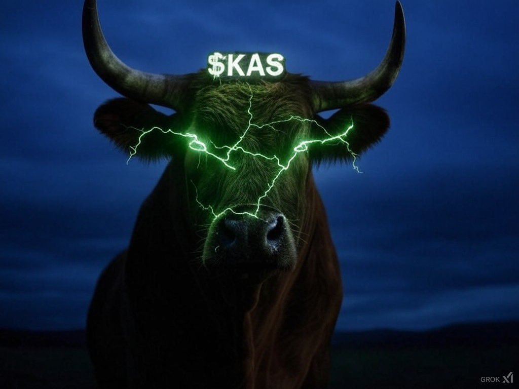 Lewis Ca$ta 𐤊🐬 (@casta_505) on Twitter photo 