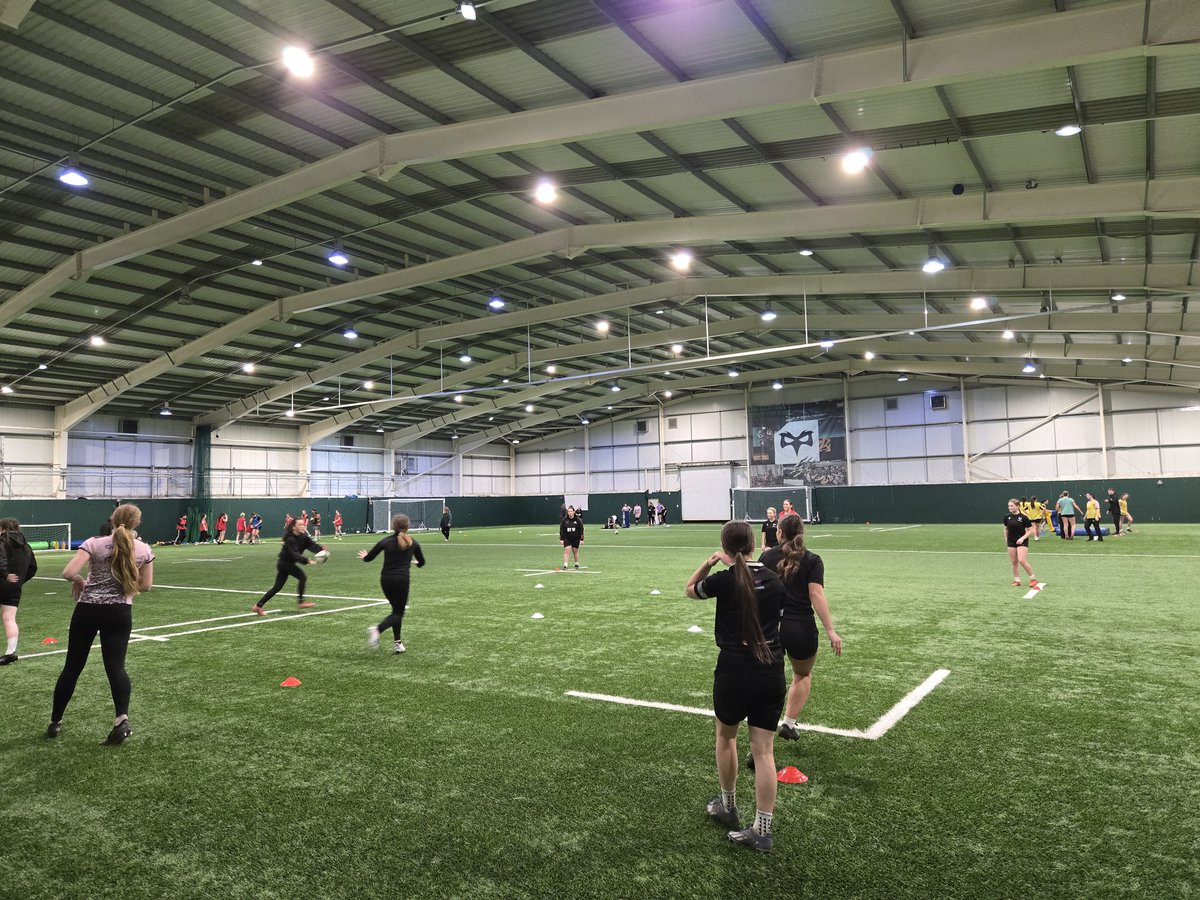 Sarah Lewis tweet media