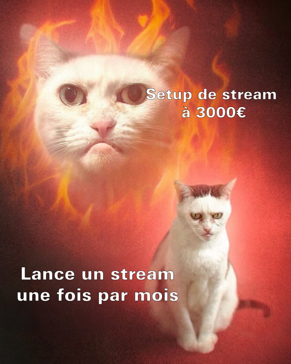 Elgato France tweet media