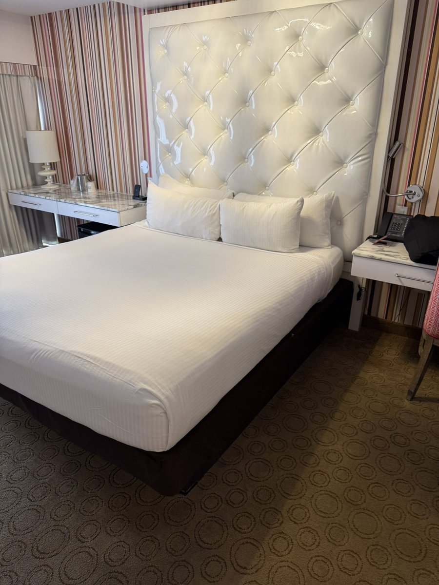 Just moved hotels. Here for two more nights. This room is really girly and center if any ladies want to make a cute porn.

Looking for either a girl for a b/g/g or potentially a couple for a BBGG (or a full swap)

No solo male creators. I filmed three of those scenes this week