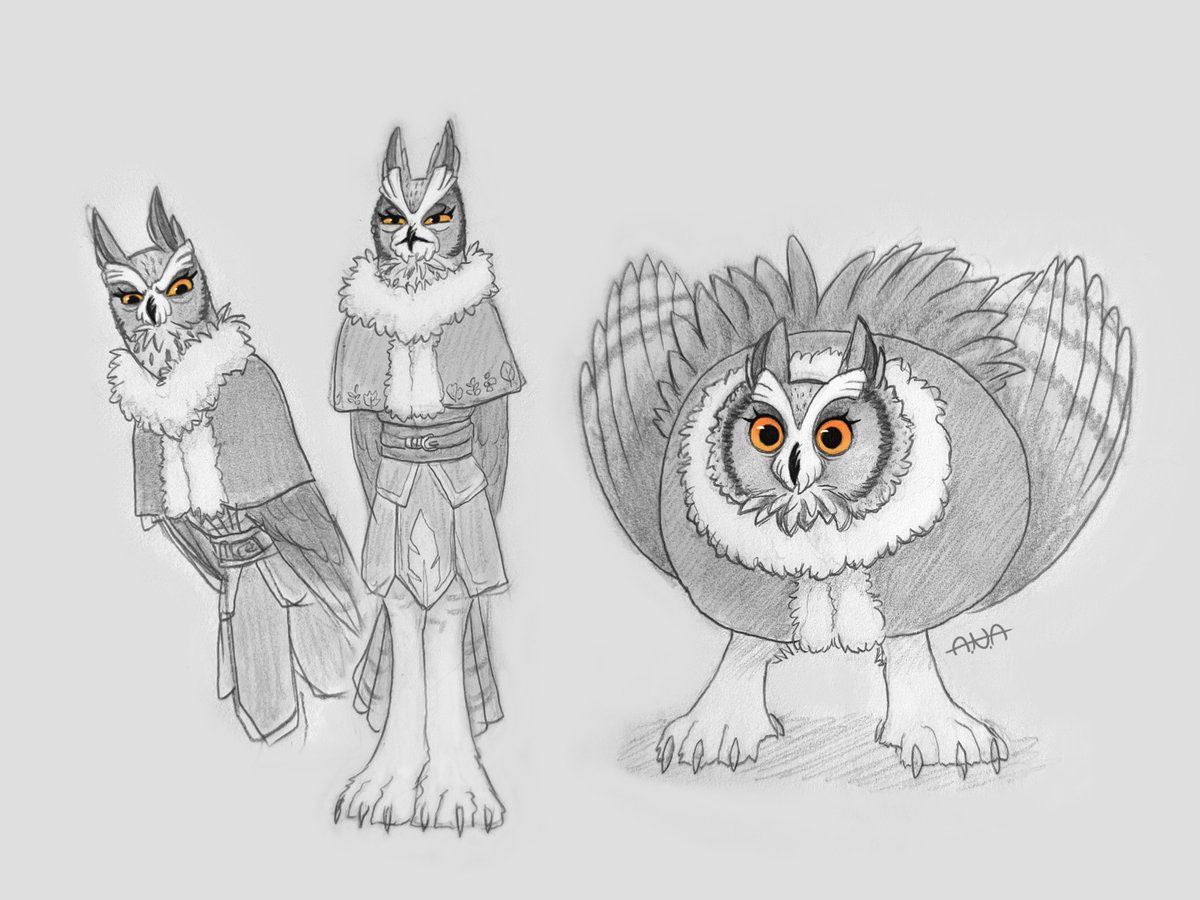 Orange owl behaviour! 🧡