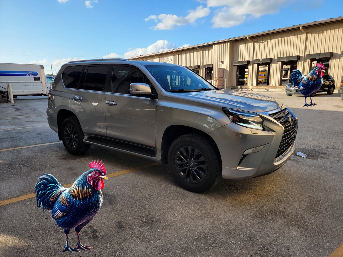 DankJones9's tweet photo. I go to work , I don't even wanna clock in
Got your girl wet and she ain't even see my $COCK yet 💎🐓 CARDANO $ADA https://t.co/n9Wb0oMwFz