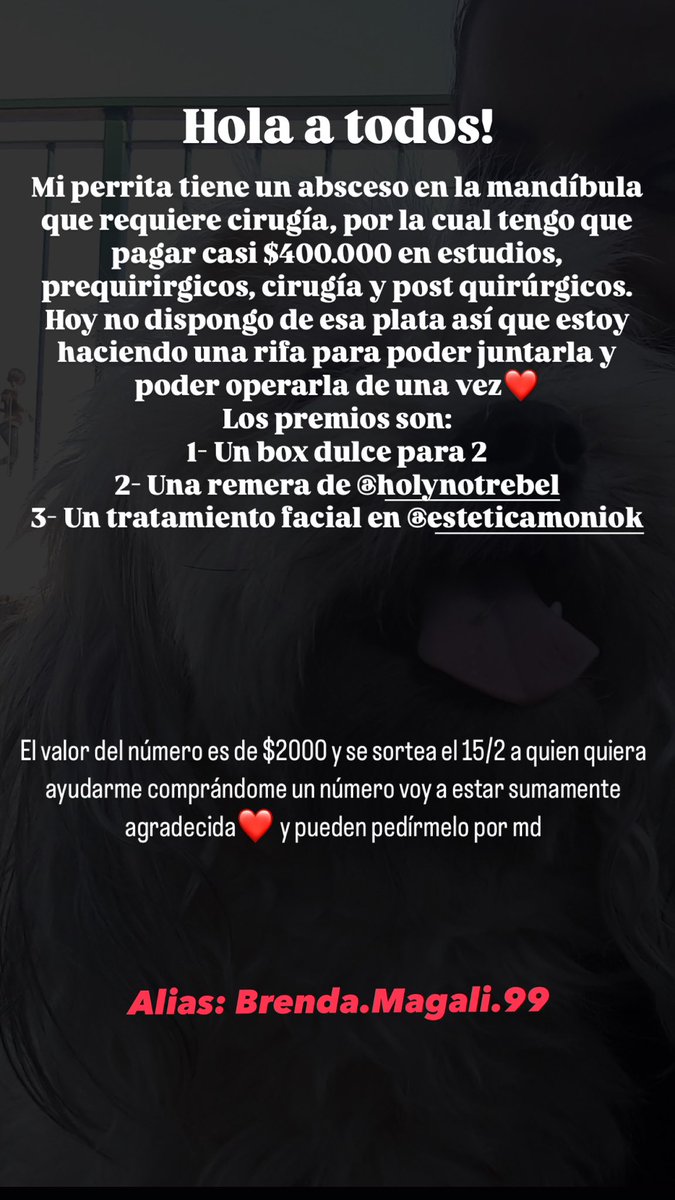 x_Maipi's tweet photo. Estoy haciendo una rifa para poder operar a mi perrita😭🤍 
Tengo que juntar casi $400.000 y hoy en día no dispongo de esa plata, si alguien quiere ayudarme le estaría atentamente agradecida🫶🏽

Alias: Brenda.magali.99 https://t.co/IuJIXyZOO7