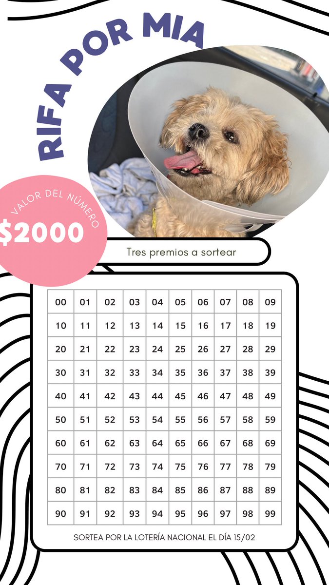 x_Maipi's tweet photo. Estoy haciendo una rifa para poder operar a mi perrita😭🤍 
Tengo que juntar casi $400.000 y hoy en día no dispongo de esa plata, si alguien quiere ayudarme le estaría atentamente agradecida🫶🏽

Alias: Brenda.magali.99 https://t.co/IuJIXyZOO7