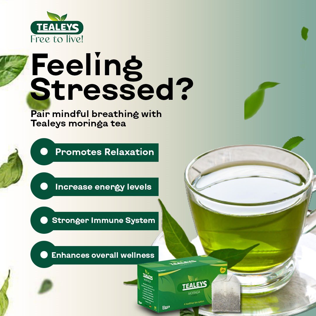 Tealeysghana's tweet photo. Not just a sip, a sip that comes with all the benefit of moringa.
Tealeys - Free To Live!
#tealeysghana #tea #moringa #moringatea #healthtea #healthy https://t.co/Rkb77rm0PY