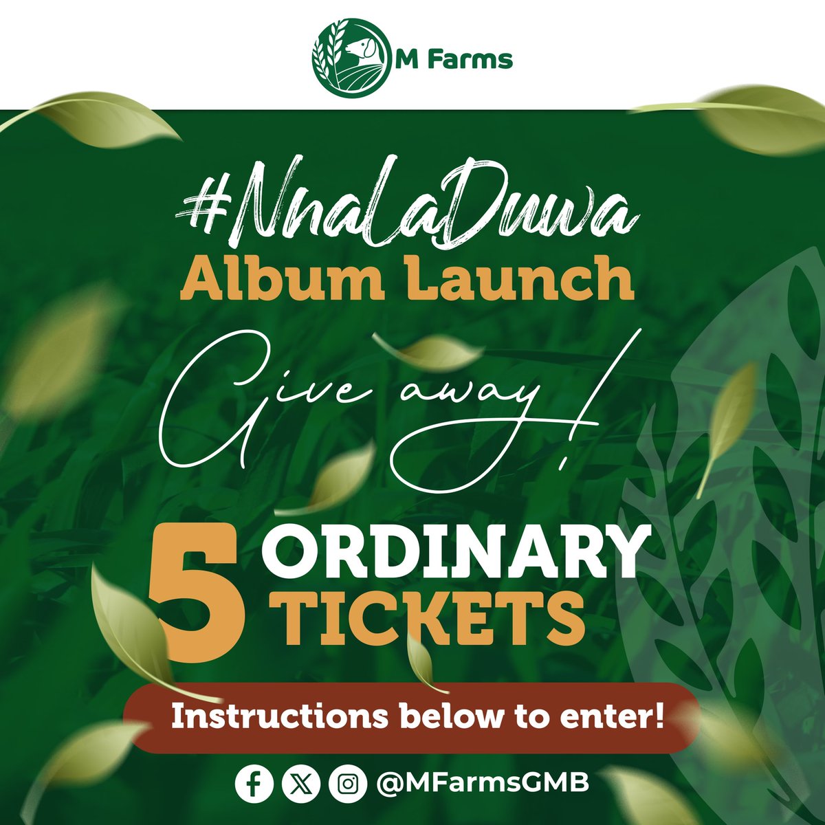 MFarmsGMB's tweet photo. 🎉 GIVEAWAY TIME! 🎉

We’re pleased to announce that we’re giving away  5️⃣  ordinary tickets of @brikama_boyo’s “Nna la Duma” album launch.

To enter:

1️⃣ Follow @MFarmsGMB 
2️⃣ Like this tweet ❤️
3️⃣ Retweet 🔄

📅 Ends: Midday on 30 Jan 
🎊 Winner announced: 31 Jan 

Good luck🍀 https://t.co/xryjl3vlPk