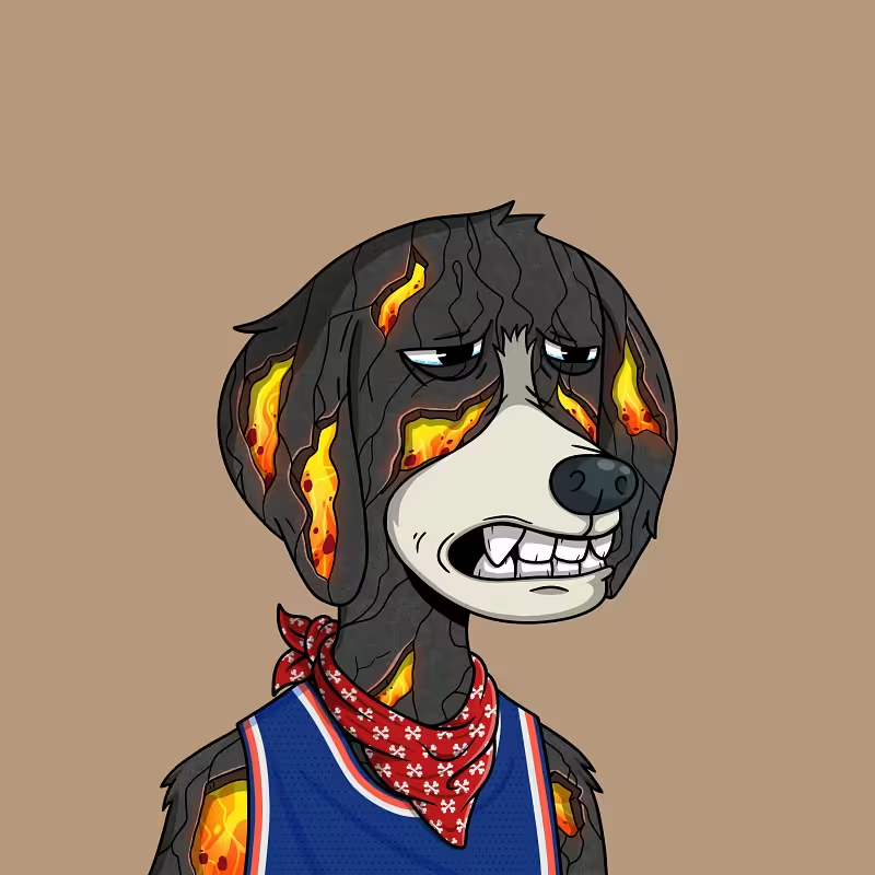 Just onboarded a someone to apechain with a fresh @WildDogsOnApe 

 <a href="/AmeerC16/">Ameer.C</a> welcome ser. 

Where the dogs at? give this noob a welcome. 

Woof Woof!