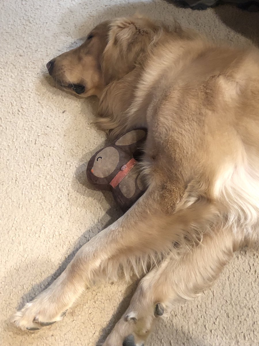Snuggling my Easter bunny ❤️❤️