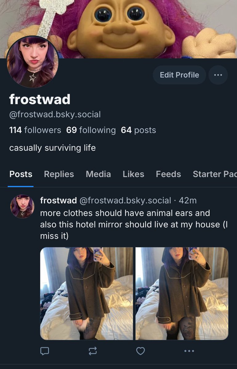 btw if anyone wants to follow me elsewhere, I’m frostwad everywhere 🫡