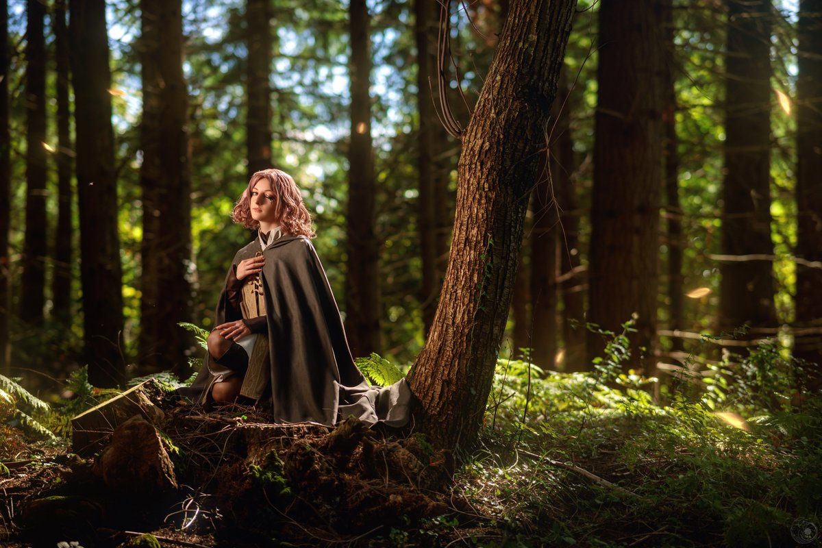 ilBaroPhotography tweet media